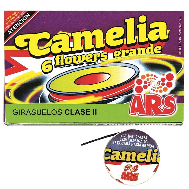 064 * 6 CAMELIAS GRANDES CAT 2